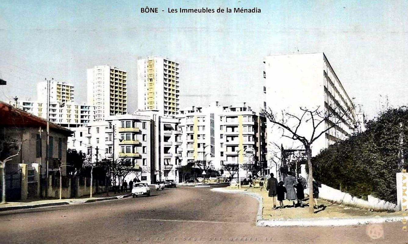 Bone - Menadia - Immeubles.jpg